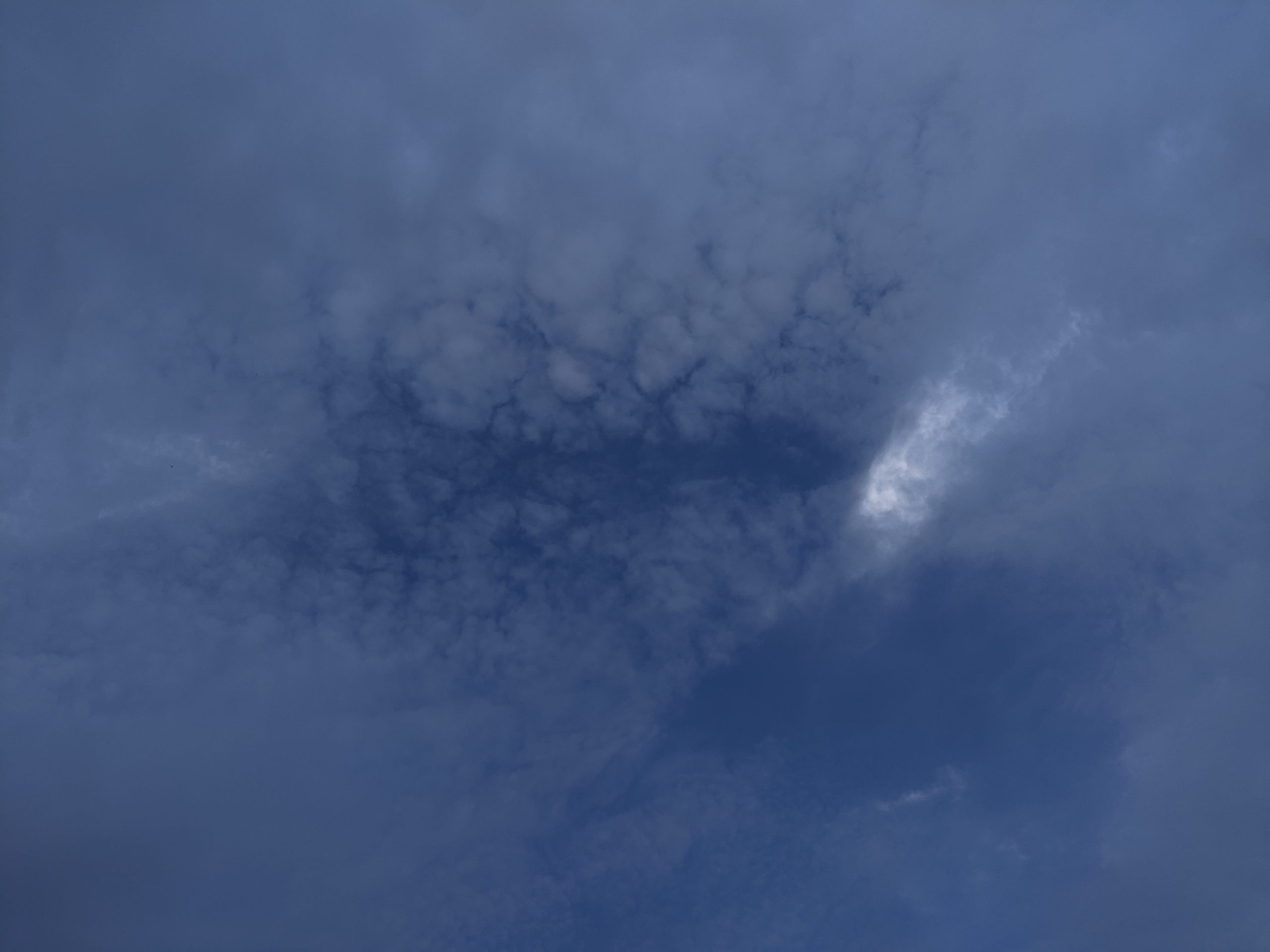 PXL_20240730_233447943