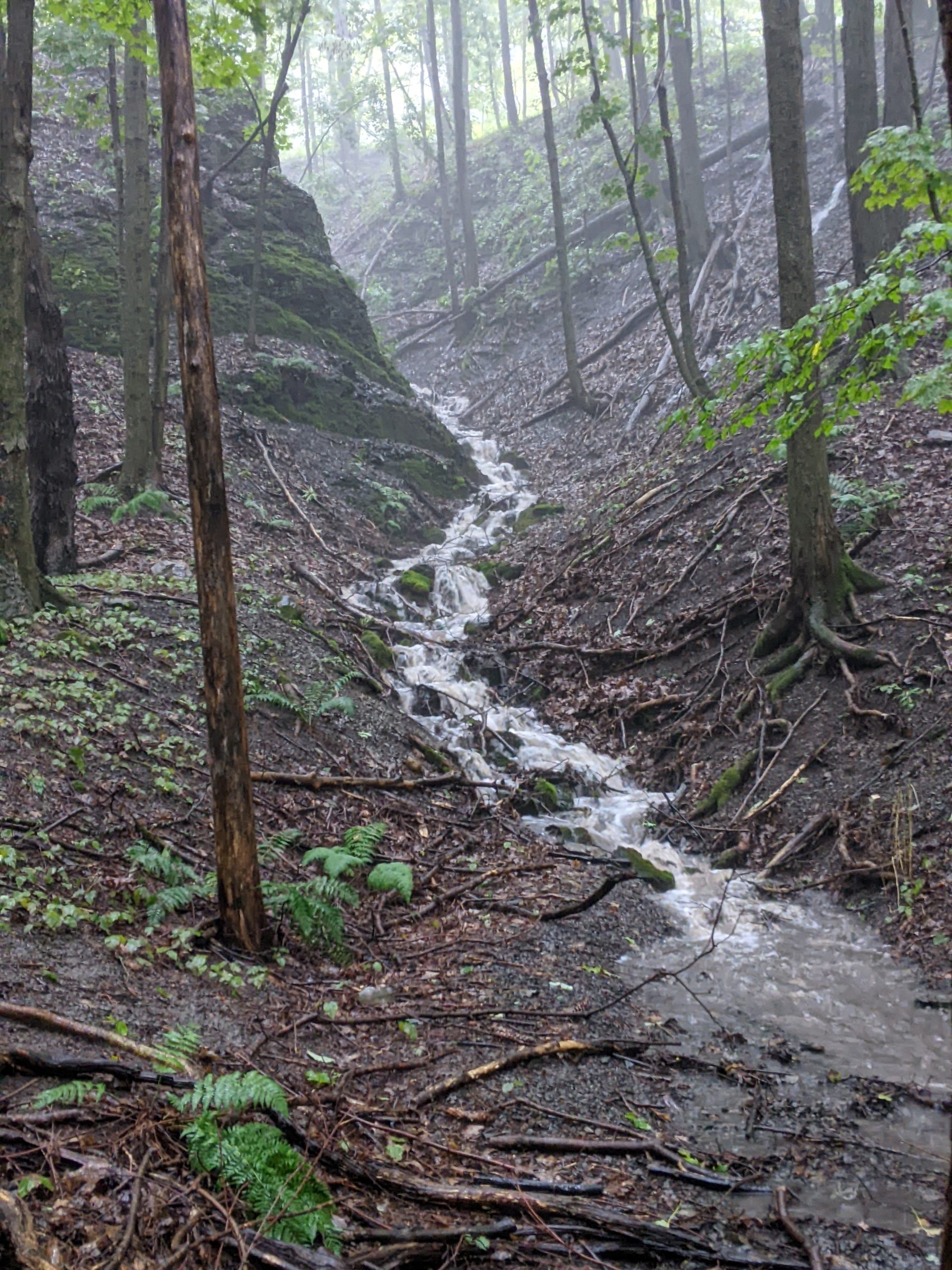 PXL_20240809_205028411