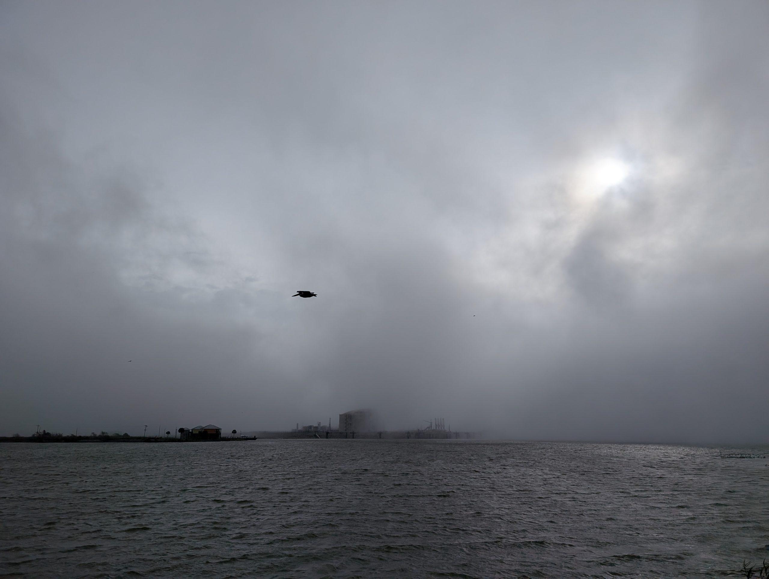 PXL_20241226_153559436