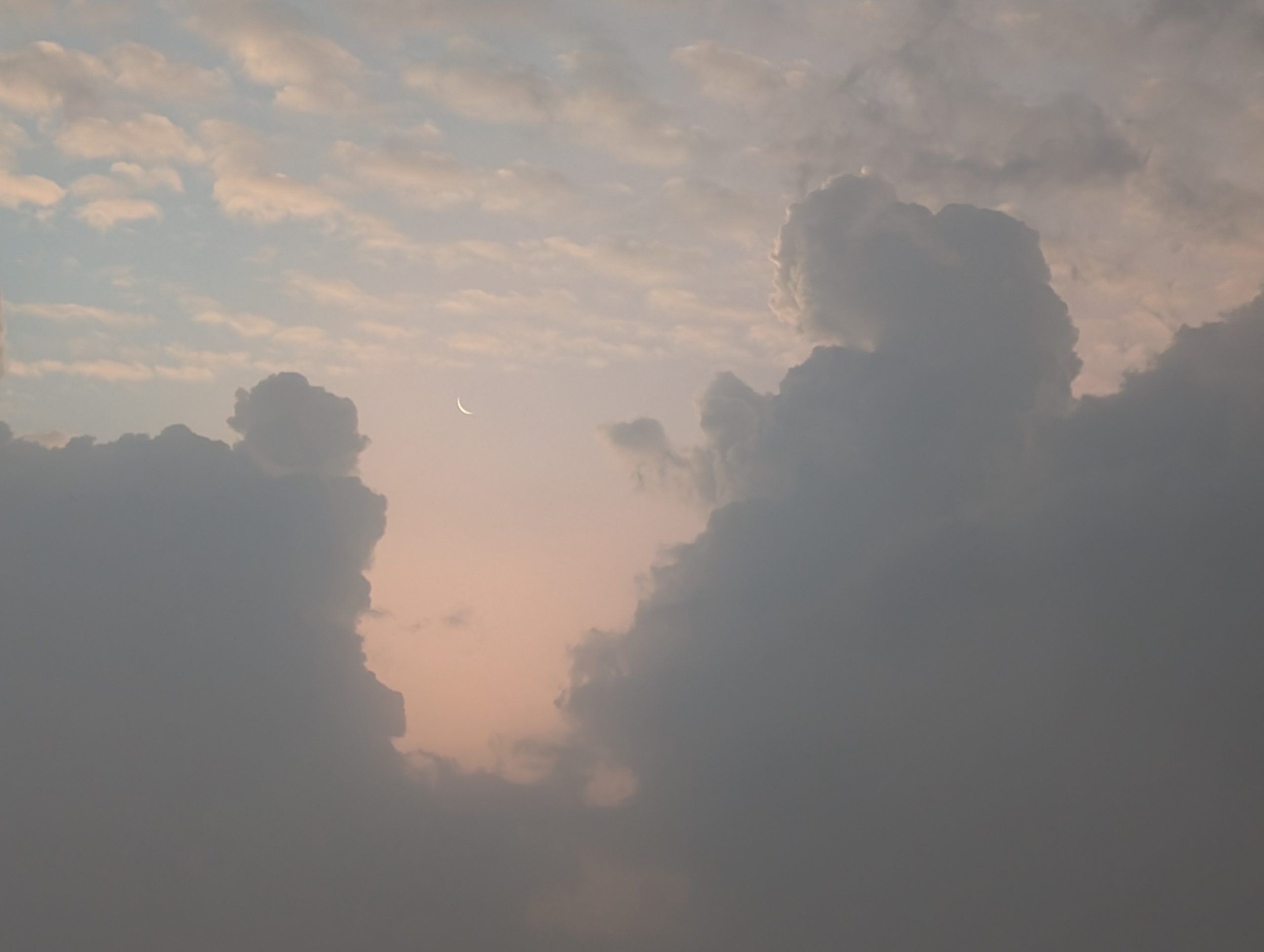 PXL_20241228_125145241